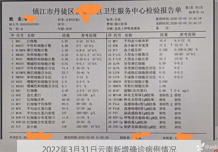 2022年3月31日云南新增确诊病例情况