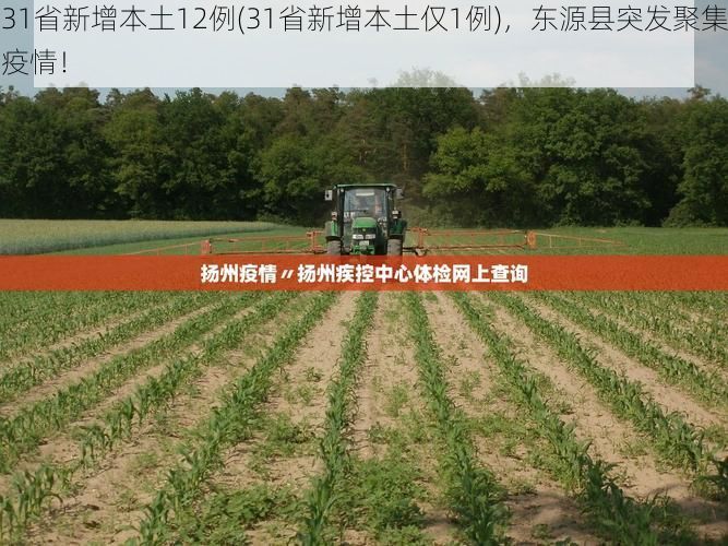 31省新增本土12例(31省新增本土仅1例)，东源县突发聚集疫情！