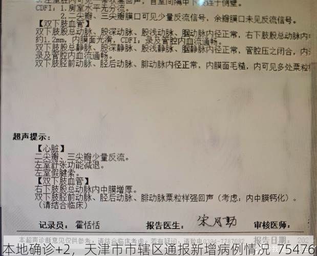 本地确诊+2，天津市市辖区通报新增病例情况_75476