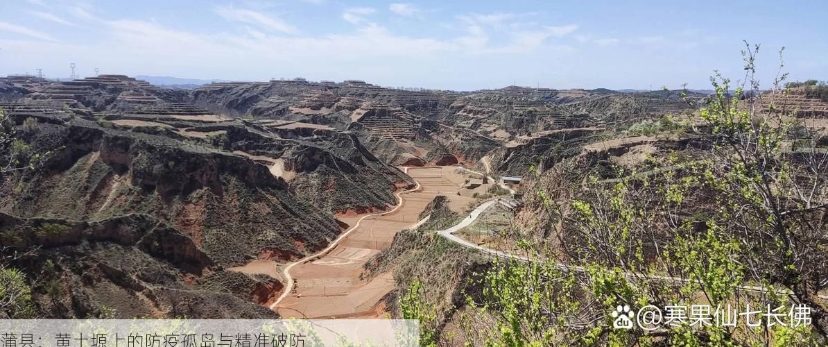 蒲县:黄土塬上的防疫孤岛与精准破防