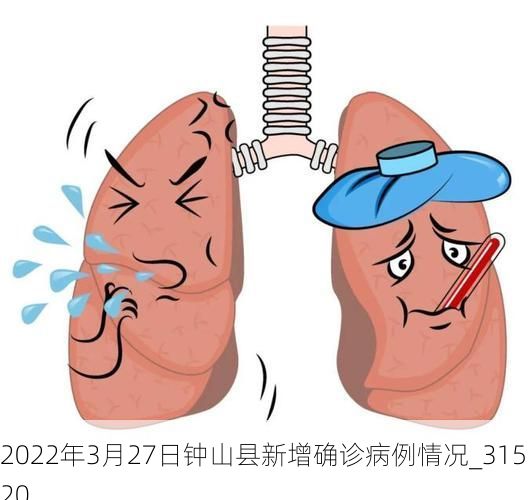 2022年3月27日钟山县新增确诊病例情况_31520