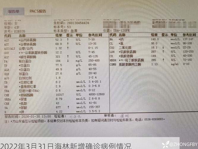 2022年3月31日海林新增确诊病例情况