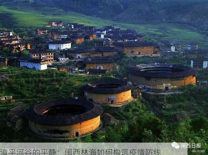 漳平河谷的平静:闽西林海如何构筑疫情防线