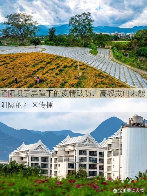隆阳坝子屏障下的疫情破防：高黎贡山未能阻隔的社区传播