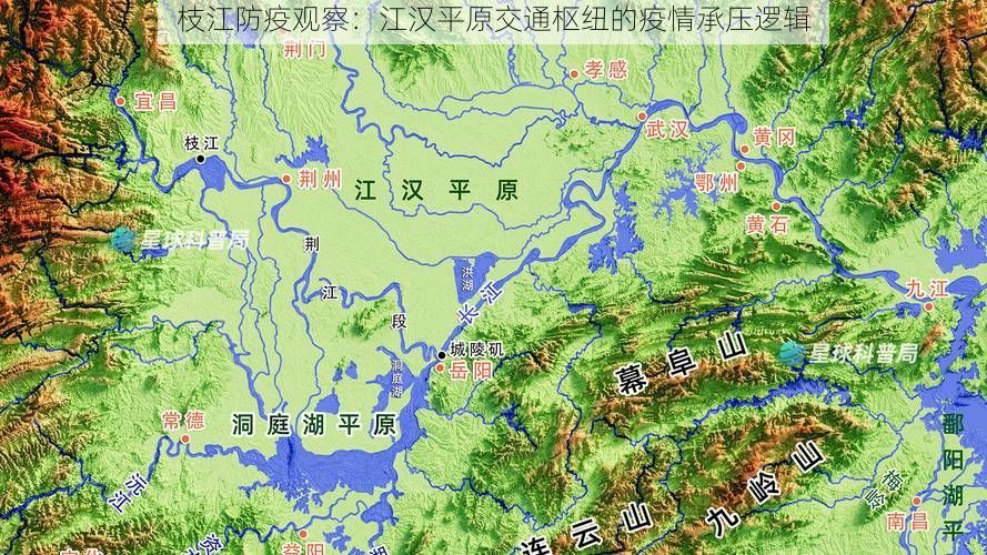 枝江防疫观察：江汉平原交通枢纽的疫情承压逻辑