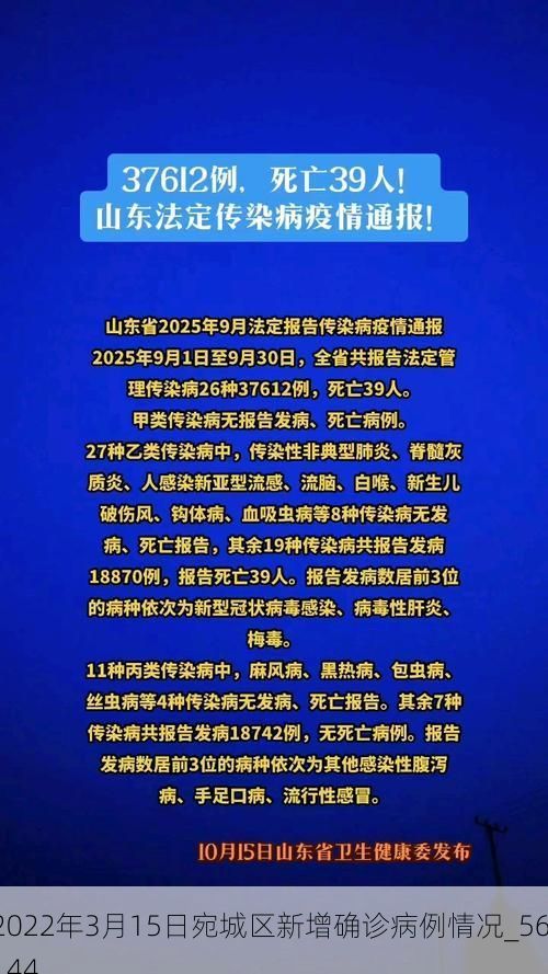 2022年3月15日宛城区新增确诊病例情况_56144