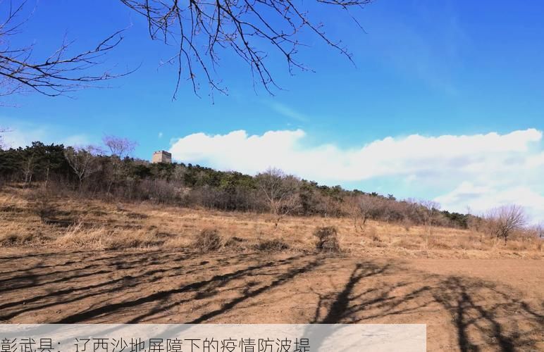彰武县：辽西沙地屏障下的疫情防波堤