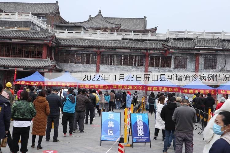 2022年11月23日屏山县新增确诊病例情况