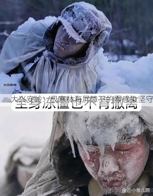 大兴安岭：极寒林海屏障下的零感染坚守