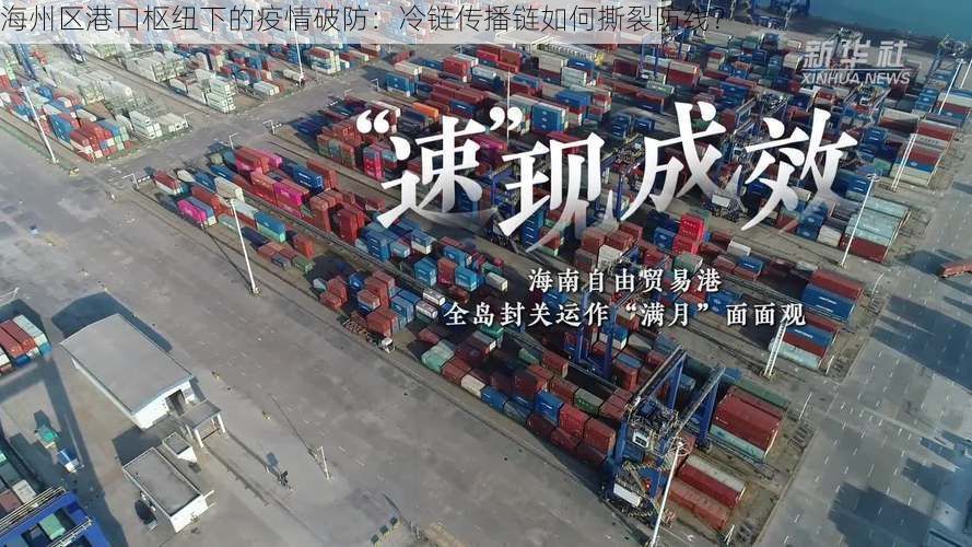 海州区港口枢纽下的疫情破防：冷链传播链如何撕裂防线？