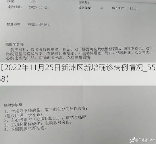 【2022年11月25日新洲区新增确诊病例情况_55938】