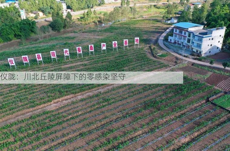 仪陇：川北丘陵屏障下的零感染坚守