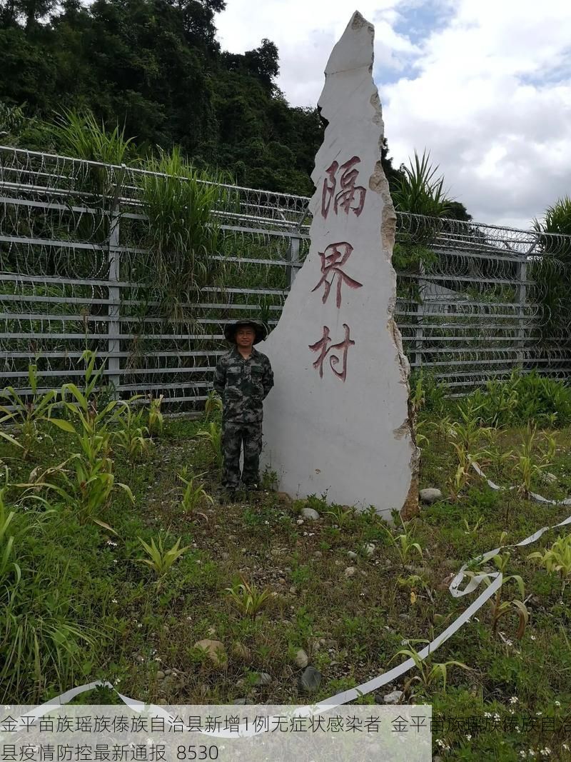 金平苗族瑶族傣族自治县新增1例无症状感染者  金平苗族瑶族傣族自治县疫情防控最新通报_8530
