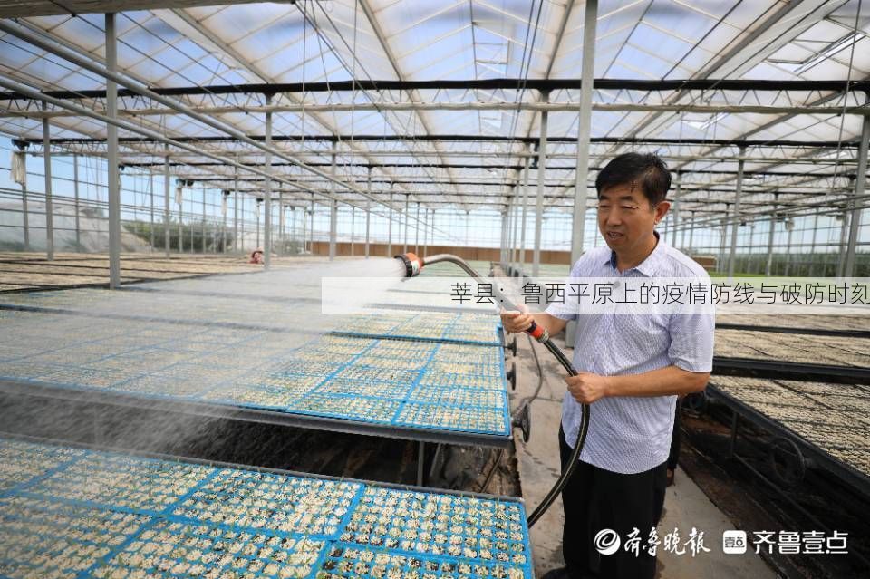 莘县：鲁西平原上的疫情防线与破防时刻
