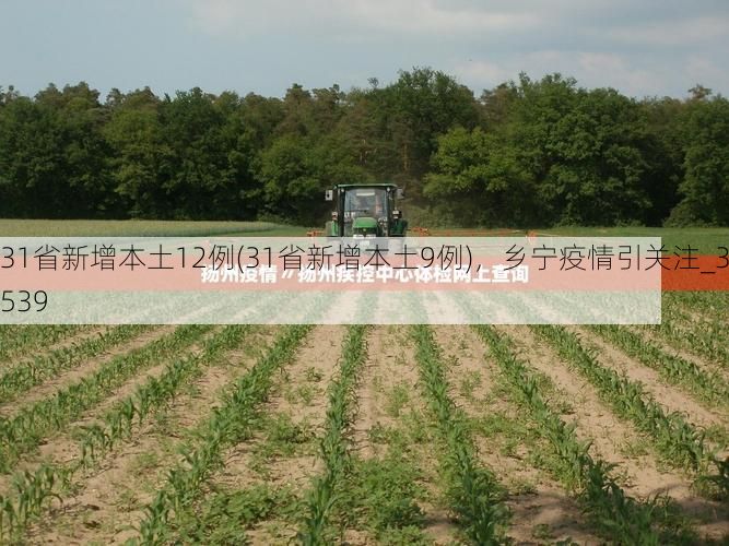 31省新增本土12例(31省新增本土9例)，乡宁疫情引关注_33539