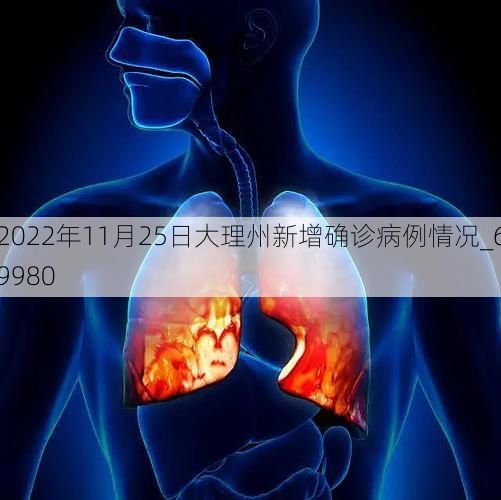 2022年11月25日大理州新增确诊病例情况_69980
