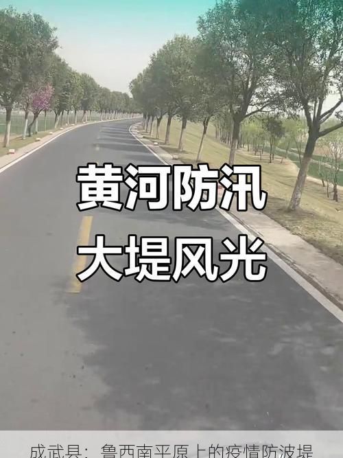 成武县:鲁西南平原上的疫情防波堤