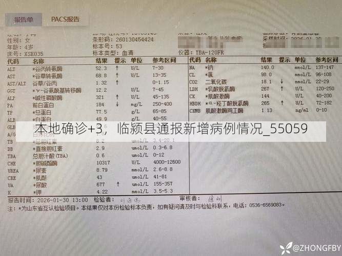 本地确诊+3,临颍县通报新增病例情况_55059