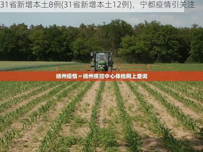 31省新增本土8例(31省新增本土12例),宁都疫情引关注