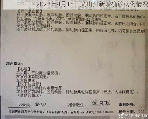 2022年4月15日文山州新增确诊病例情况