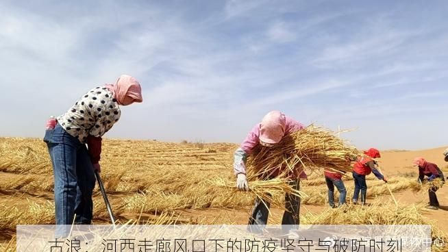 古浪：河西走廊风口下的防疫坚守与破防时刻