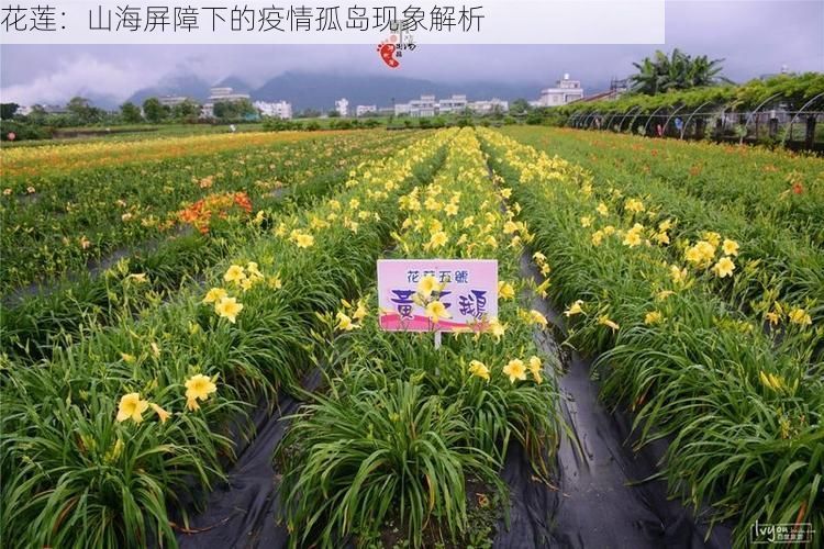 花莲:山海屏障下的疫情孤岛现象解析