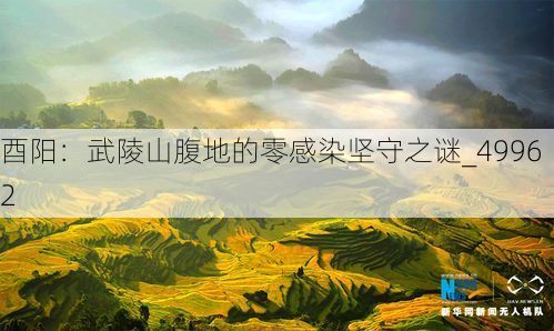 酉阳:武陵山腹地的零感染坚守之谜_49962
