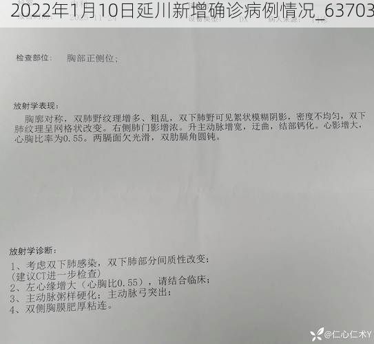 2022年1月10日延川新增确诊病例情况_63703