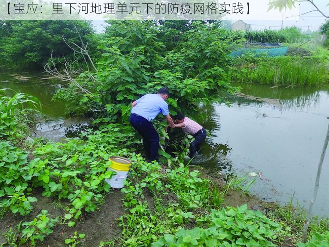 【宝应:里下河地理单元下的防疫网格实践】