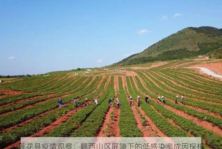 莲花县疫情观察:赣西山区屏障下的低感染率成因探析