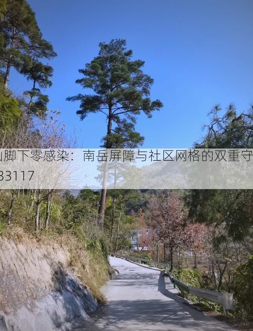 衡山脚下零感染：南岳屏障与社区网格的双重守护_33117