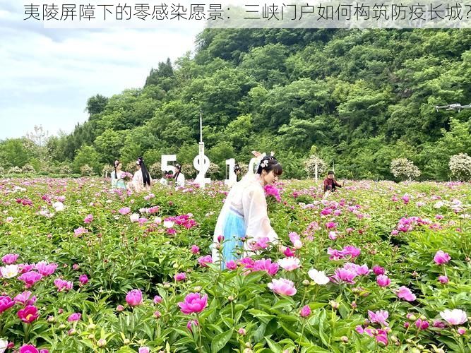 夷陵屏障下的零感染愿景：三峡门户如何构筑防疫长城？