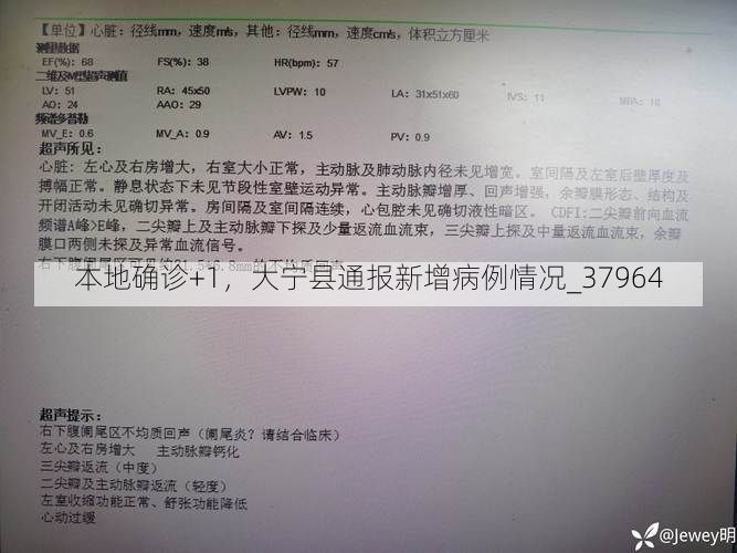 本地确诊+1，大宁县通报新增病例情况_37964