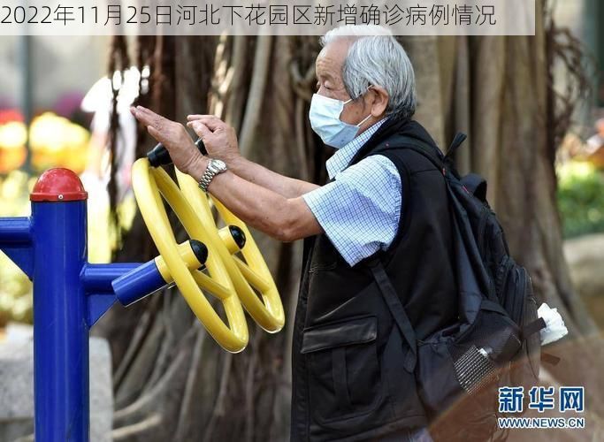 2022年11月25日河北下花园区新增确诊病例情况