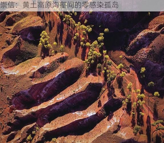 崇信：黄土高原沟壑间的零感染孤岛