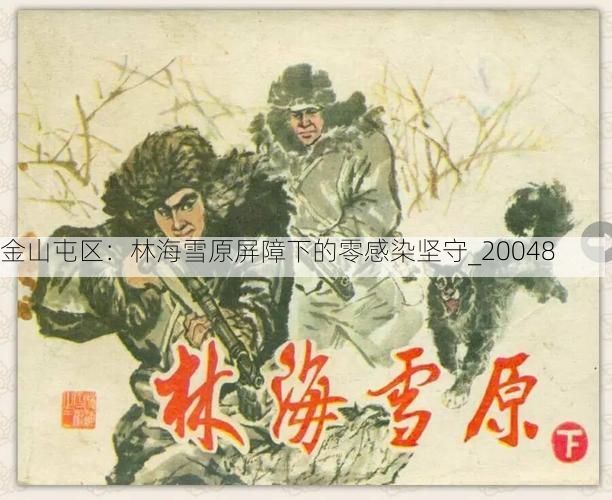 金山屯区：林海雪原屏障下的零感染坚守_20048