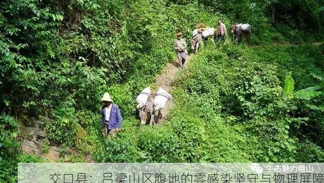 交口县:吕梁山区腹地的零感染坚守与物理屏障