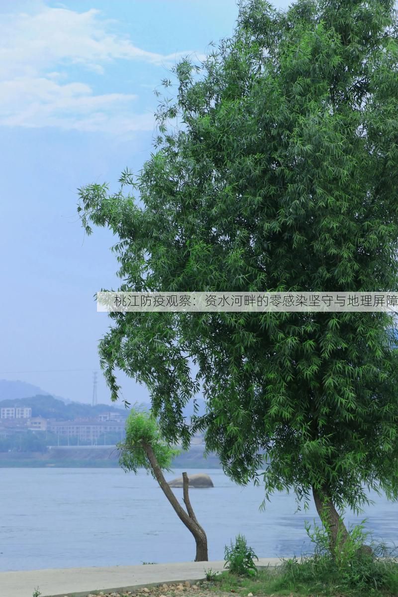 桃江防疫观察:资水河畔的零感染坚守与地理屏障
