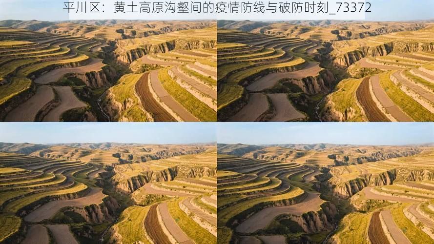 平川区:黄土高原沟壑间的疫情防线与破防时刻_73372