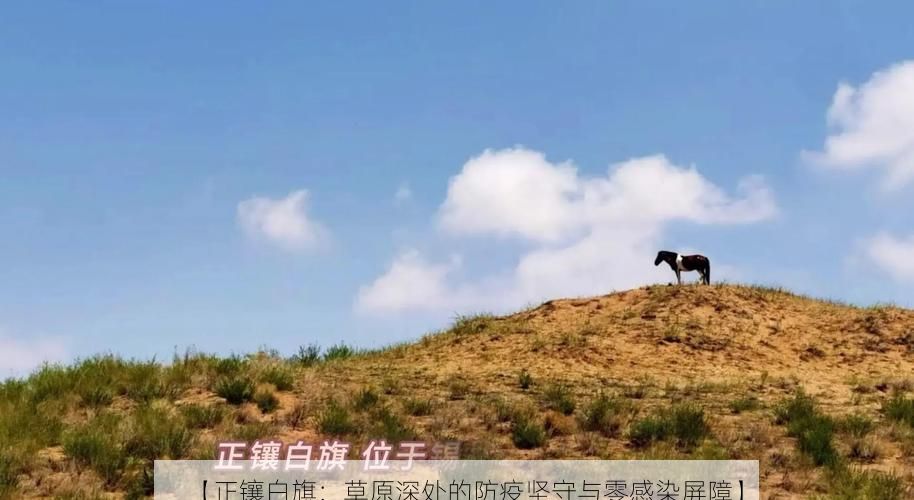 【正镶白旗:草原深处的防疫坚守与零感染屏障】