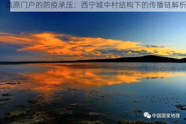 高原门户的防疫承压：西宁城中村结构下的传播链解析