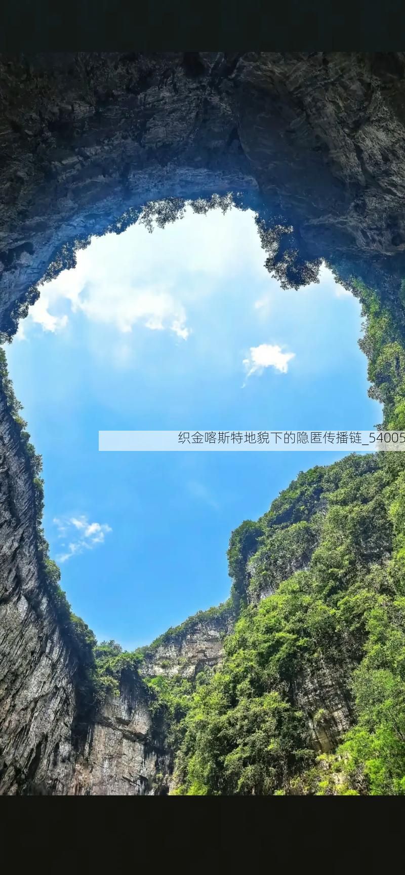 织金喀斯特地貌下的隐匿传播链_54005