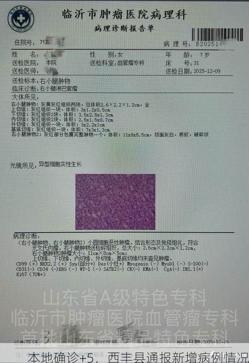 本地确诊+5,西丰县通报新增病例情况