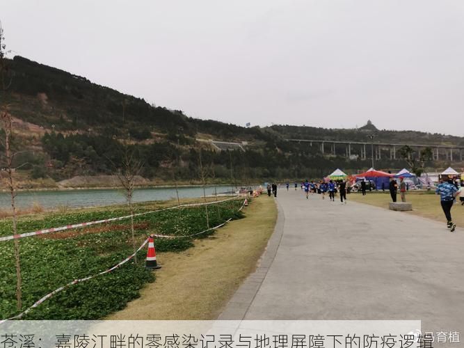 苍溪：嘉陵江畔的零感染记录与地理屏障下的防疫逻辑