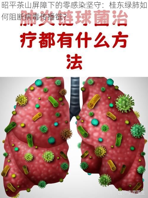 昭平茶山屏障下的零感染坚守：桂东绿肺如何阻断病毒传播链？