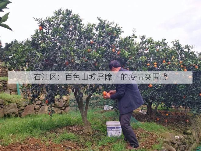 右江区：百色山城屏障下的疫情突围战