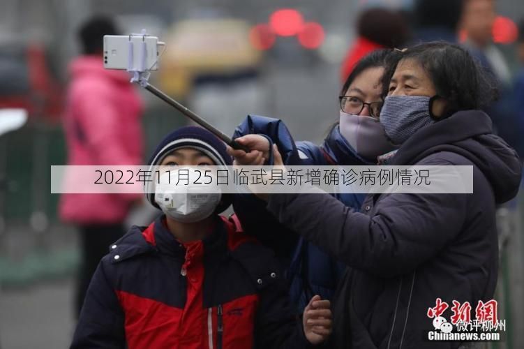 2022年11月25日临武县新增确诊病例情况