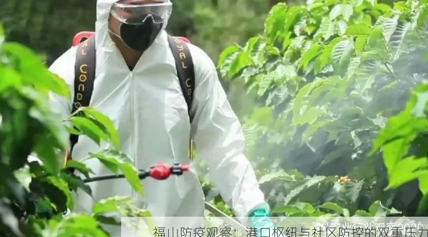 福山防疫观察:港口枢纽与社区防控的双重压力