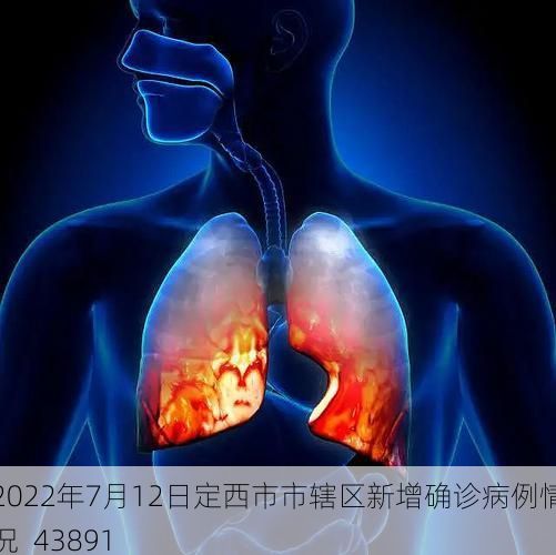2022年7月12日定西市市辖区新增确诊病例情况_43891