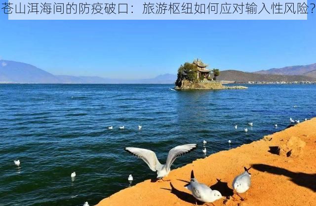 苍山洱海间的防疫破口：旅游枢纽如何应对输入性风险？
